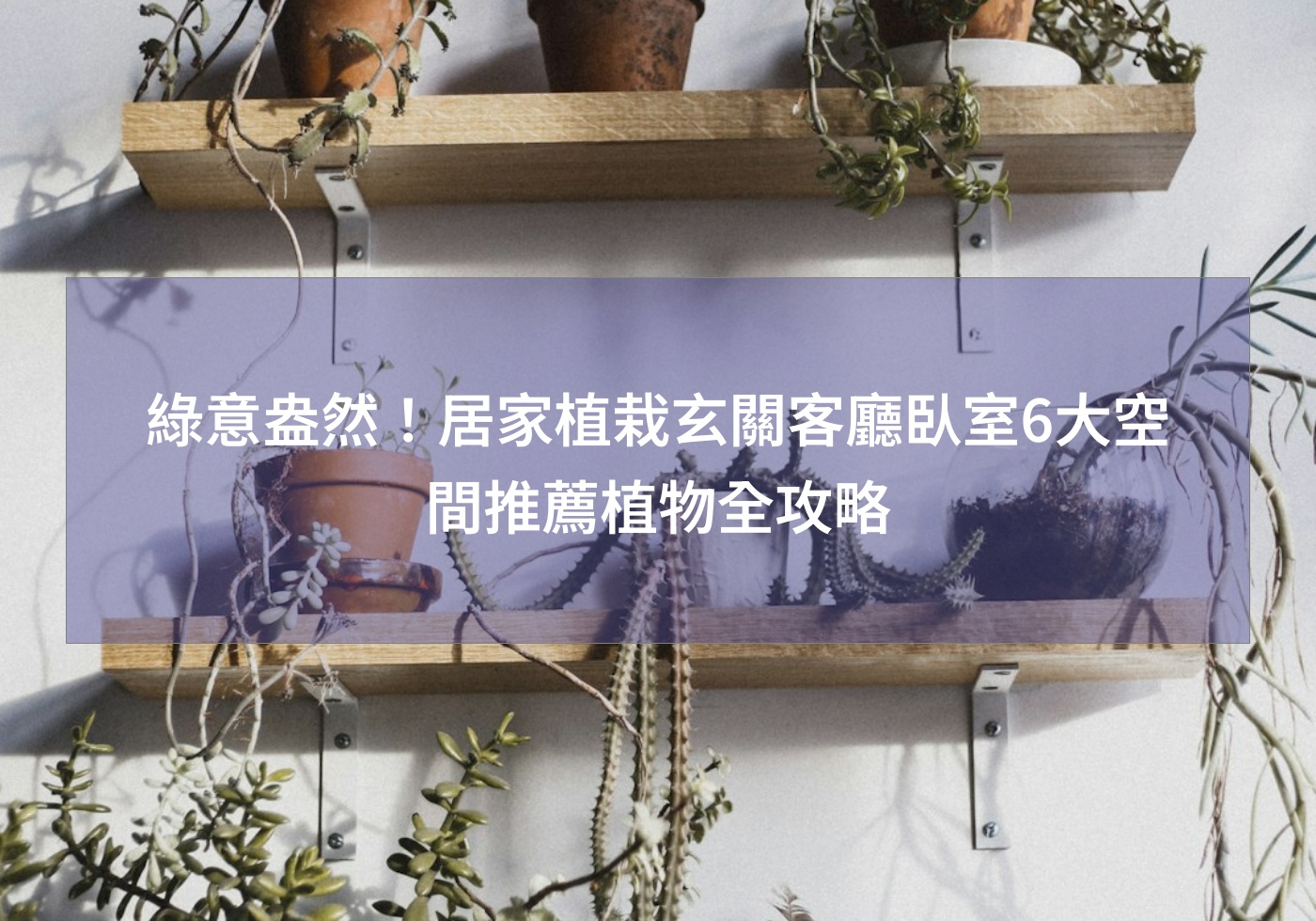 閱讀更多文章 綠意盎然！居家植栽玄關客廳臥室6大空間推薦植物全攻略