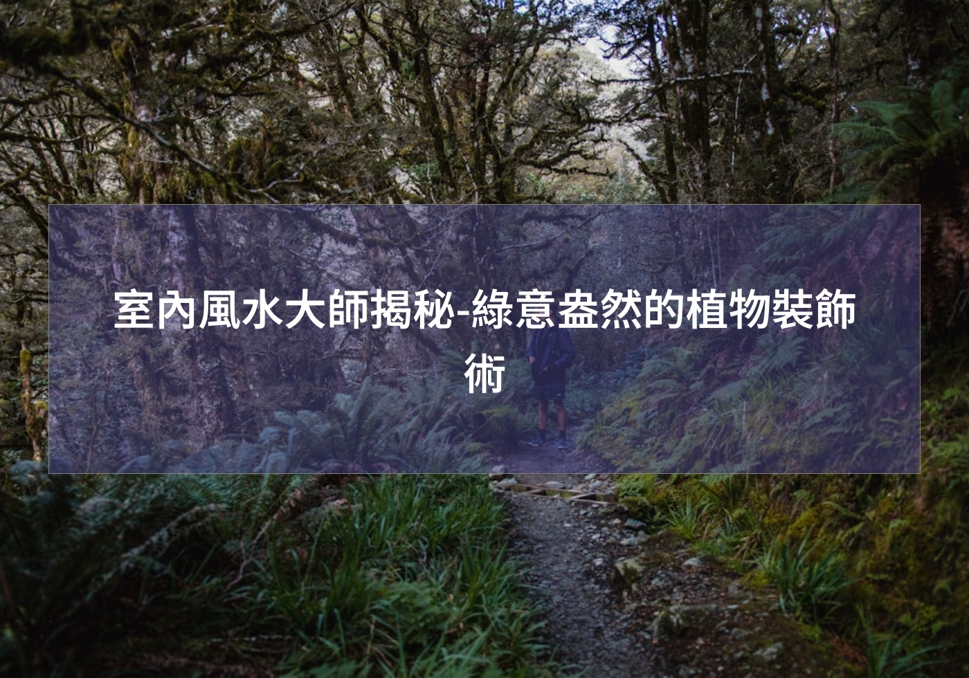 閱讀更多文章 室內風水大師揭秘-綠意盎然的植物裝飾術