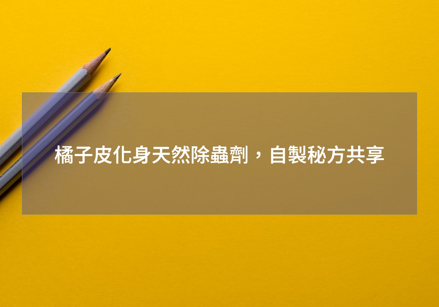閱讀更多文章 橘子皮化身天然除蟲劑，自製秘方共享