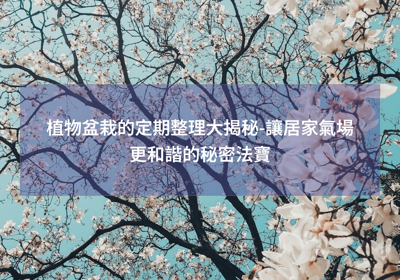 植物盆栽的定期整理大揭秘-讓居家氣場更和諧的秘密法寶