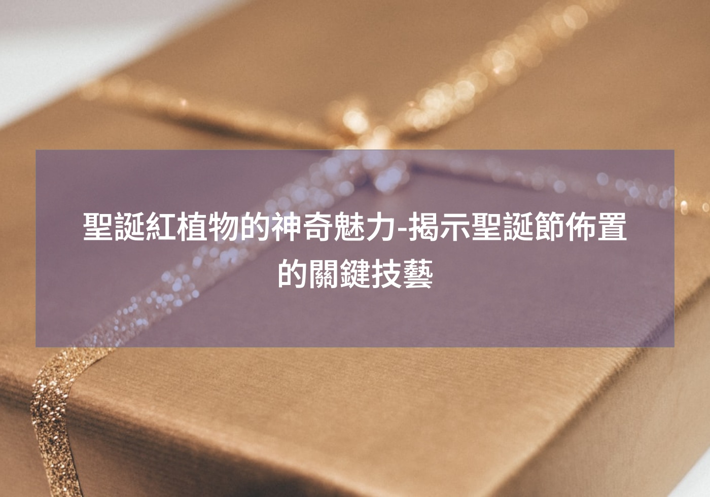 閱讀更多文章 聖誕紅植物的神奇魅力-揭示聖誕節佈置的關鍵技藝