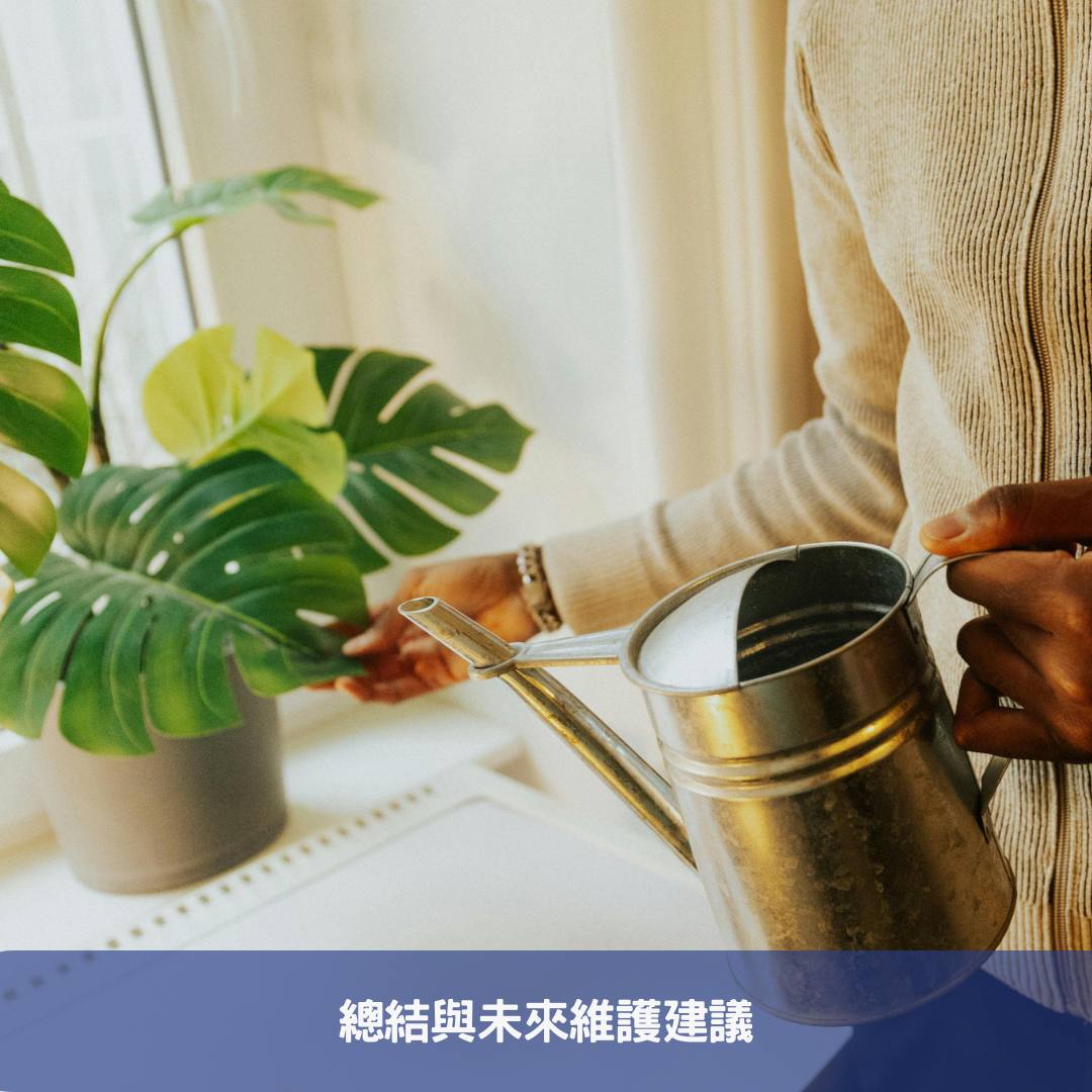 聖誕紅植物養護全攻略-擺脫黃萎,掌握澆水秘訣 總結與未來維護建議