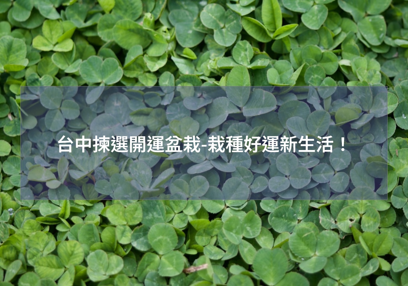 閱讀更多文章 台中揀選開運盆栽-栽種好運新生活！