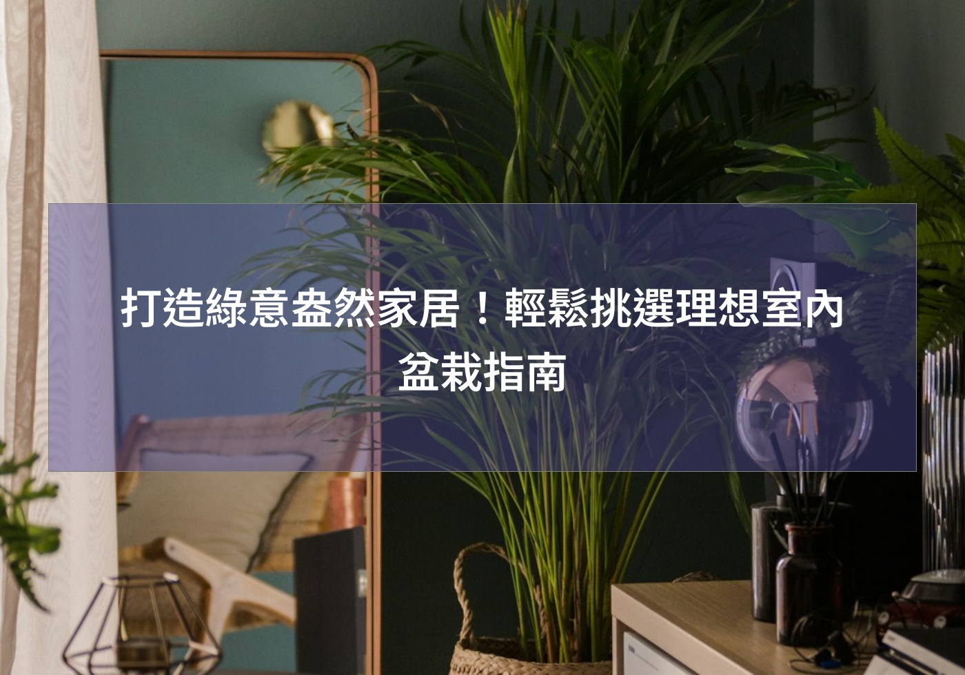 閱讀更多文章 打造綠意盎然家居！輕鬆挑選理想室內盆栽指南