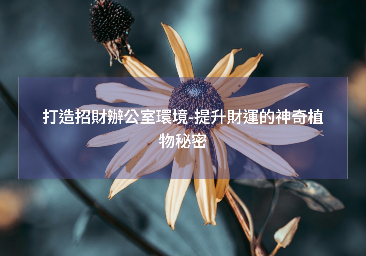 閱讀更多文章 打造招財辦公室環境-提升財運的神奇植物秘密