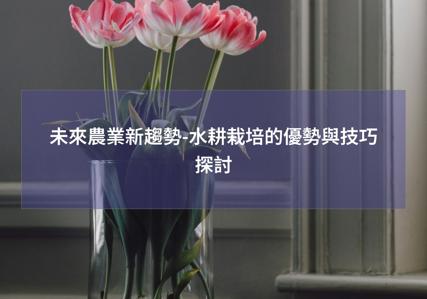閱讀更多文章 未來農業新趨勢-水耕栽培的優勢與技巧探討