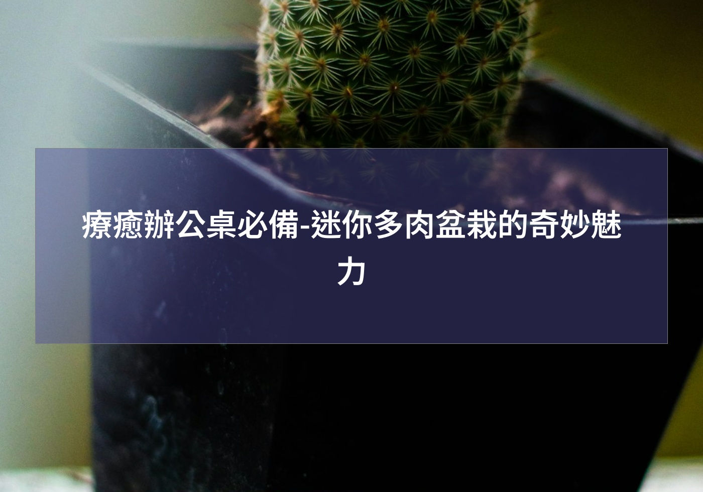 閱讀更多文章 療癒辦公桌必備-迷你多肉盆栽的奇妙魅力