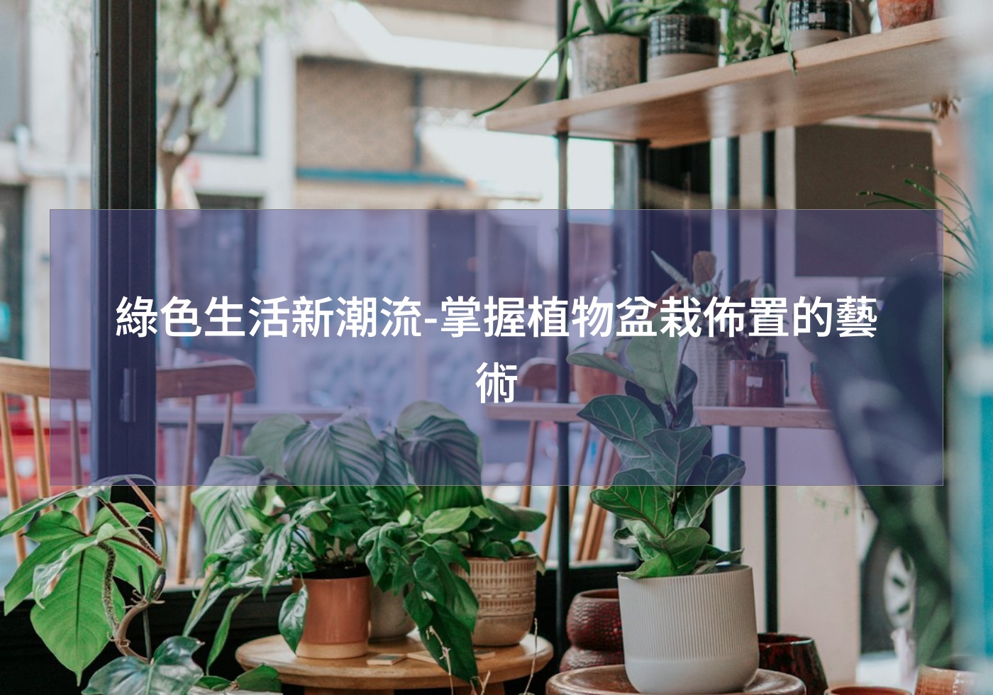 閱讀更多文章 綠色生活新潮流-掌握植物盆栽佈置的藝術