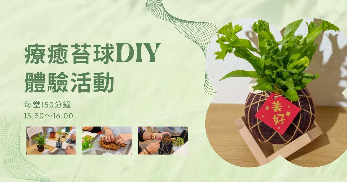 貞豬多肉，用植物療癒你的生活。療癒苔球DIY體驗活動