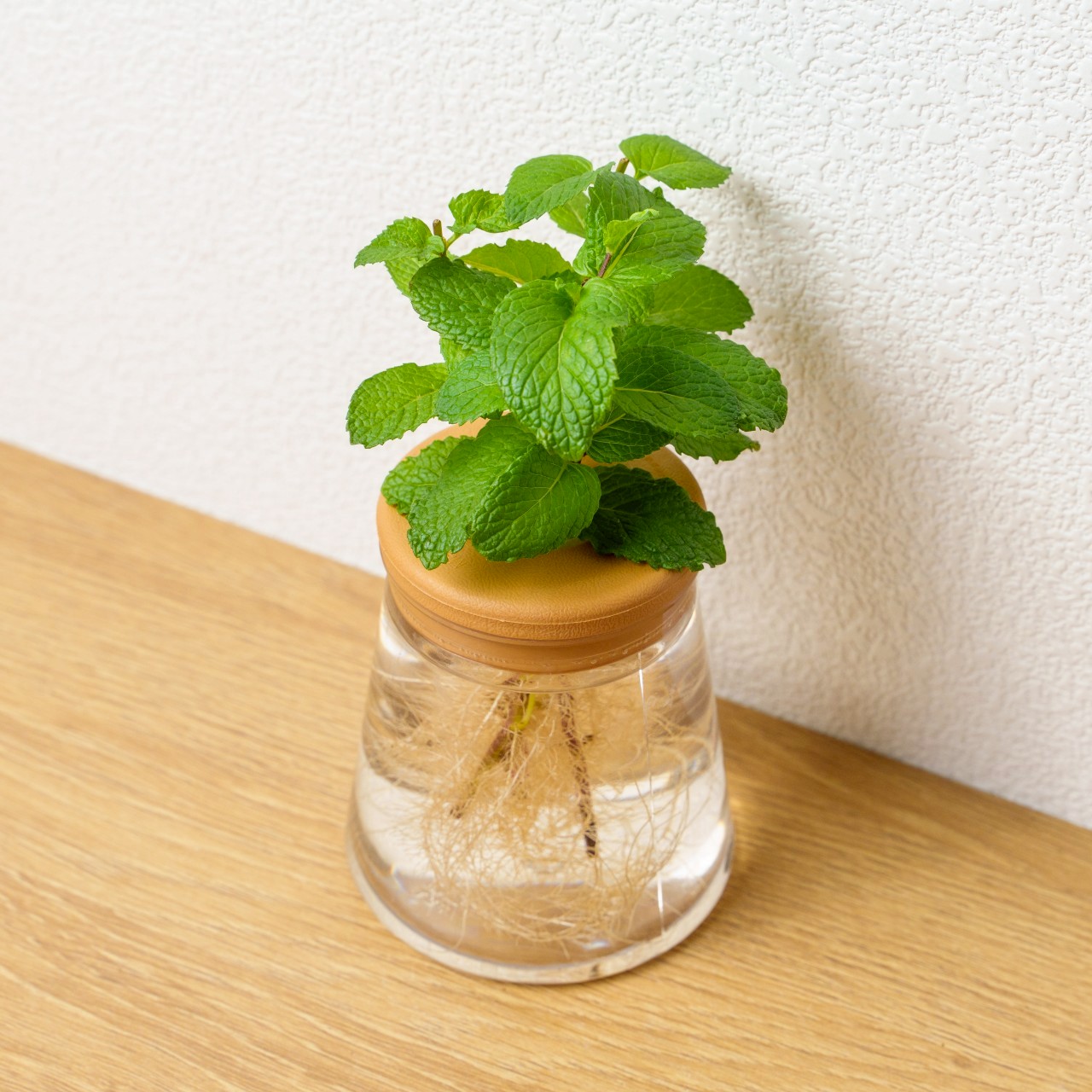 薄荷 三角水耕盆栽 室內植物 觀葉植物 禮物 水培 辦公室小物 水耕盆栽