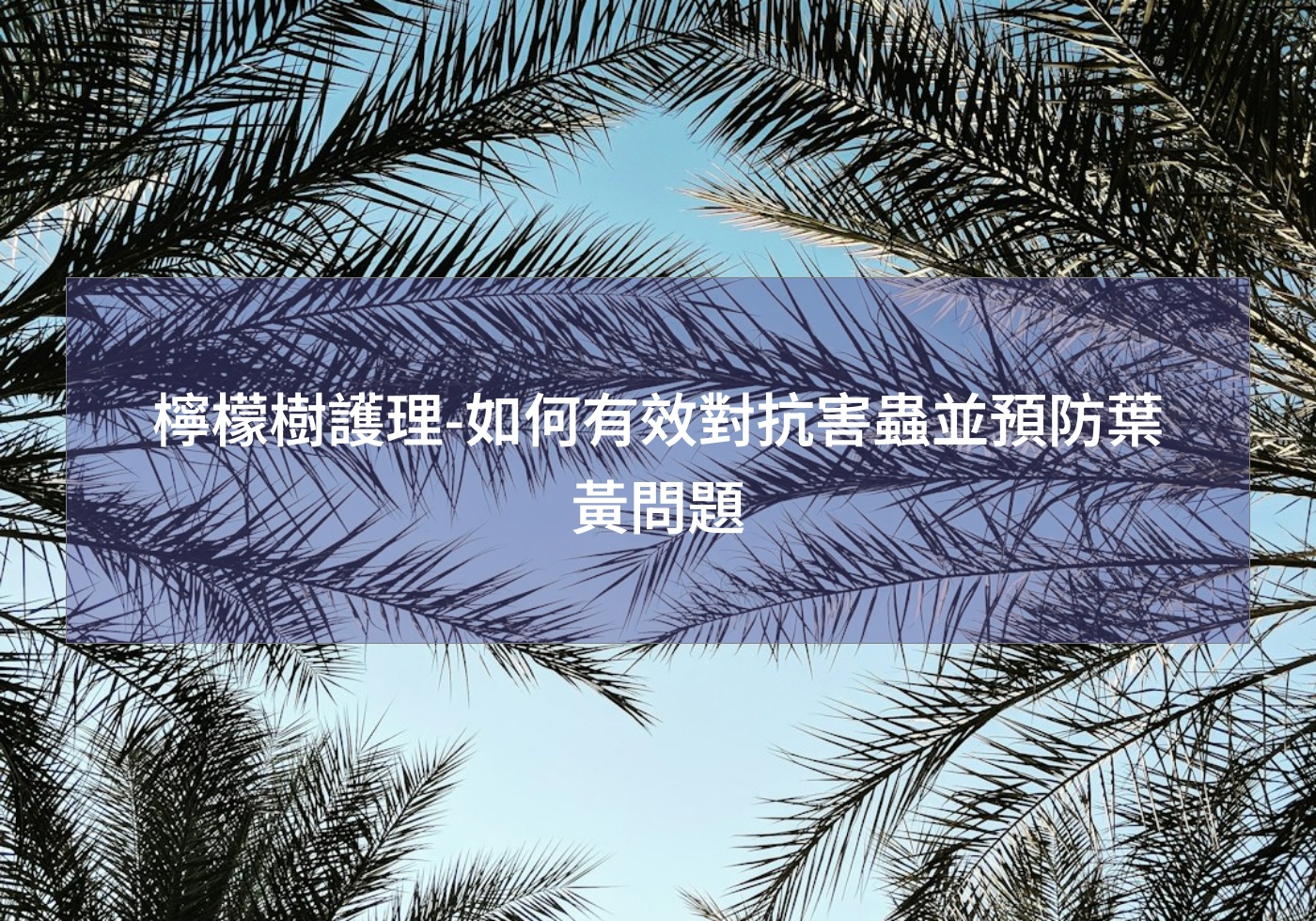 閱讀更多文章 檸檬樹護理-如何有效對抗害蟲並預防葉黃問題