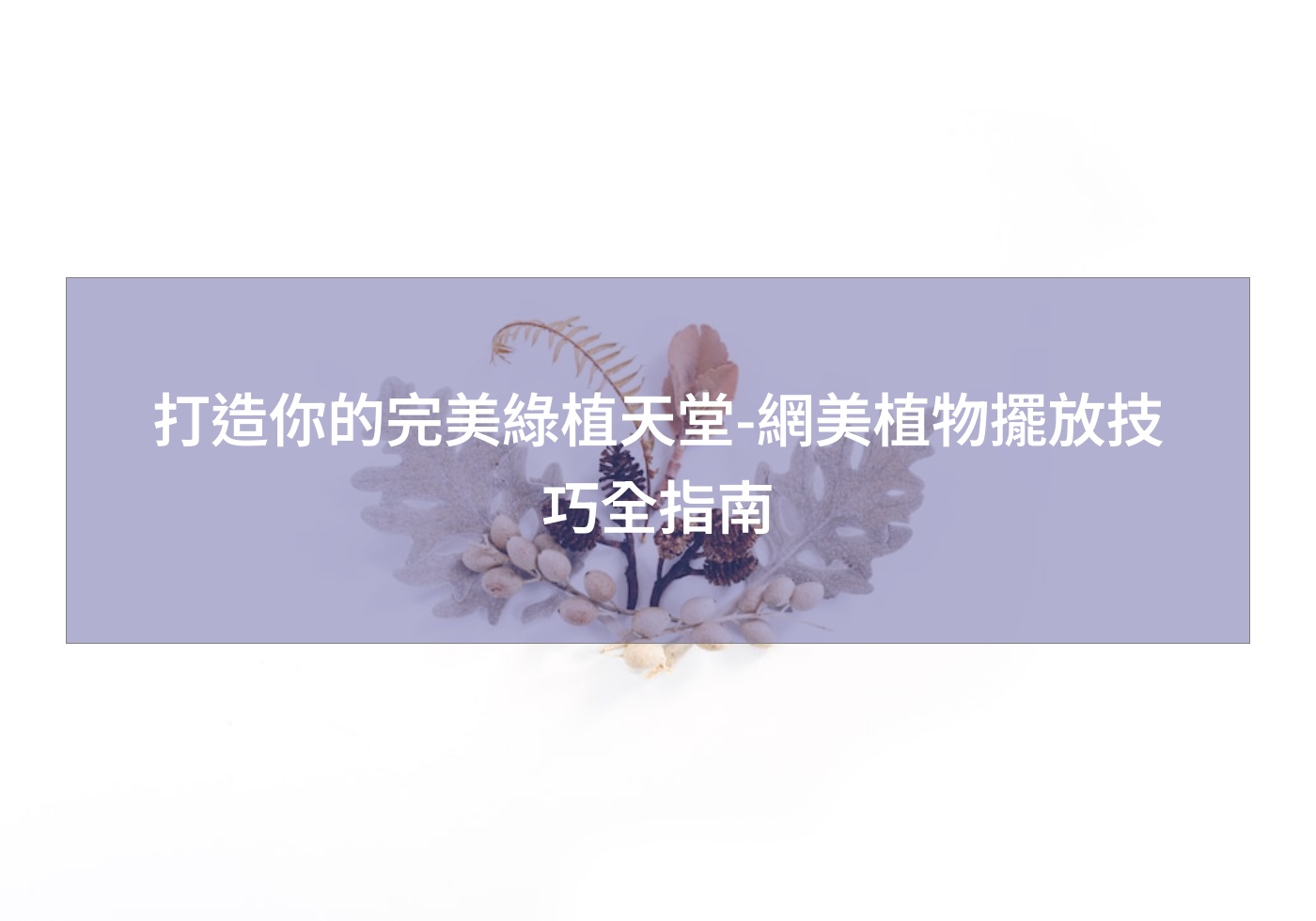 閱讀更多文章 打造你的完美綠植天堂-網美植物擺放技巧全指南