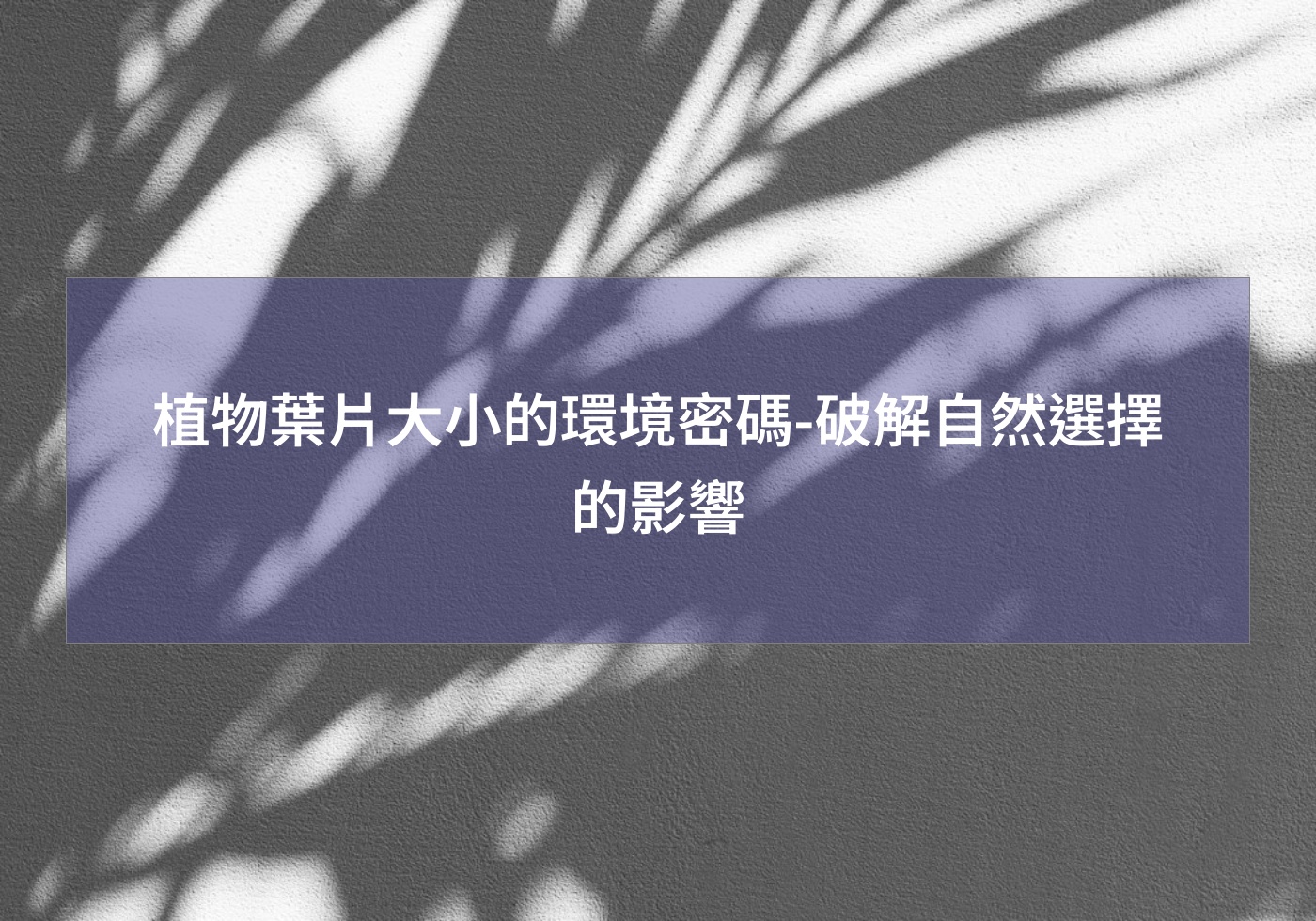 閱讀更多文章 植物葉片大小的環境密碼-破解自然選擇的影響