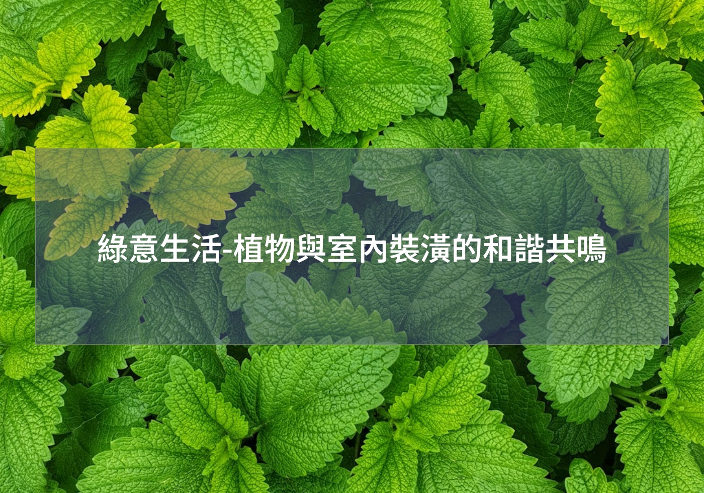 綠意生活-植物與室內裝潢的和諧共鳴