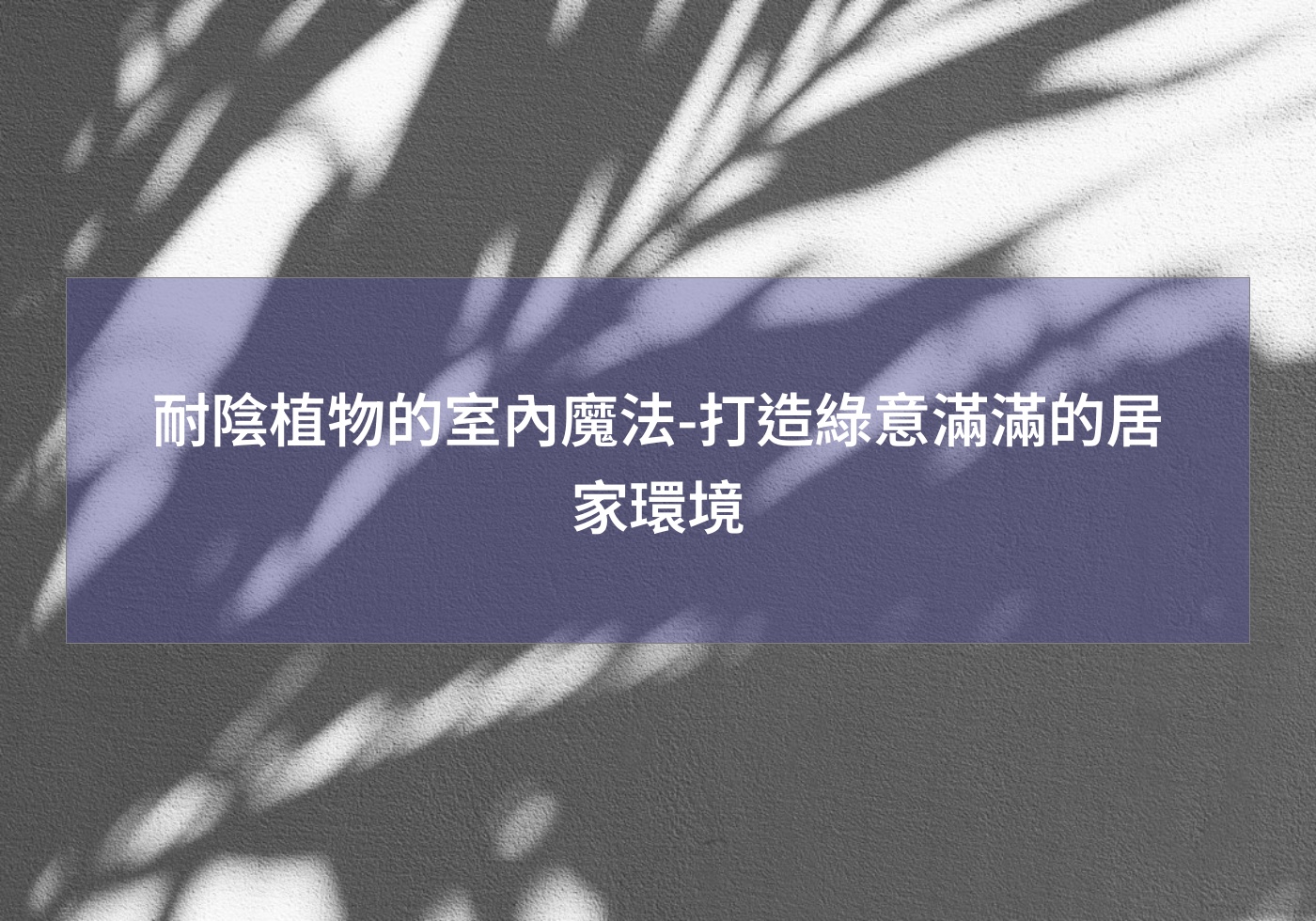 閱讀更多文章 耐陰植物的室內魔法-打造綠意滿滿的居家環境