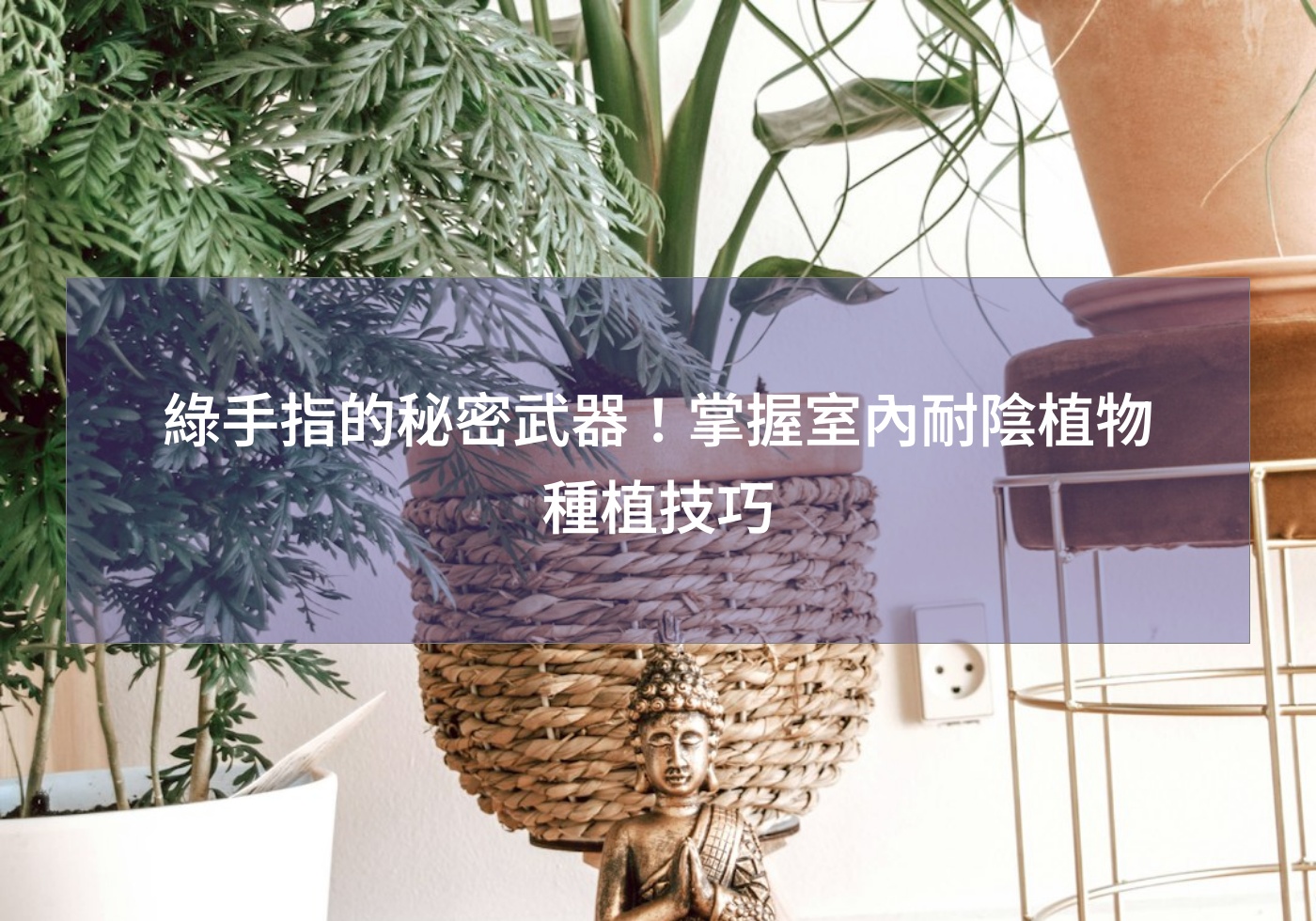 閱讀更多文章 綠手指的秘密武器！掌握室內耐陰植物種植技巧