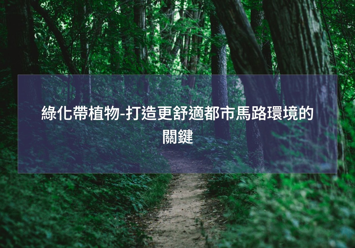 綠化帶植物-打造更舒適都市馬路環境的關鍵