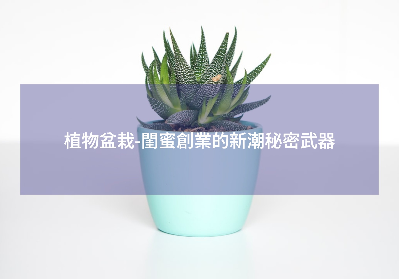 閱讀更多文章 植物盆栽-閨蜜創業的新潮秘密武器