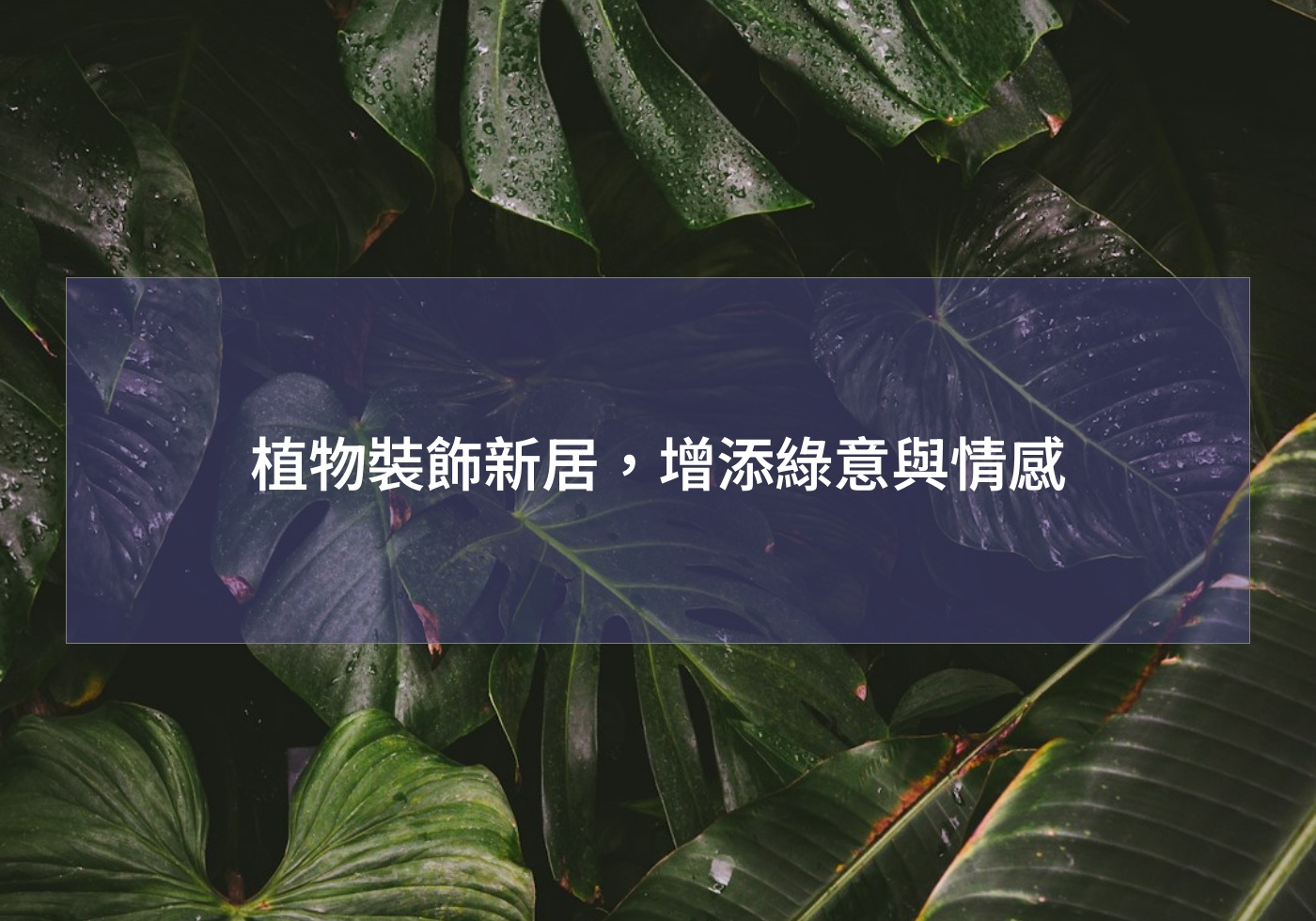 植物裝飾新居，增添綠意與情感