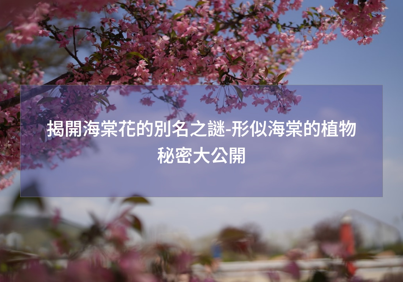 閱讀更多文章 揭開海棠花的別名之謎-形似海棠的植物秘密大公開