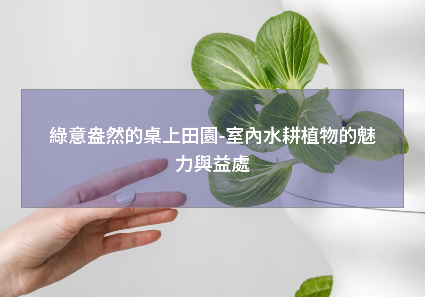 閱讀更多文章 綠意盎然的桌上田園-室內水耕植物的魅力與益處