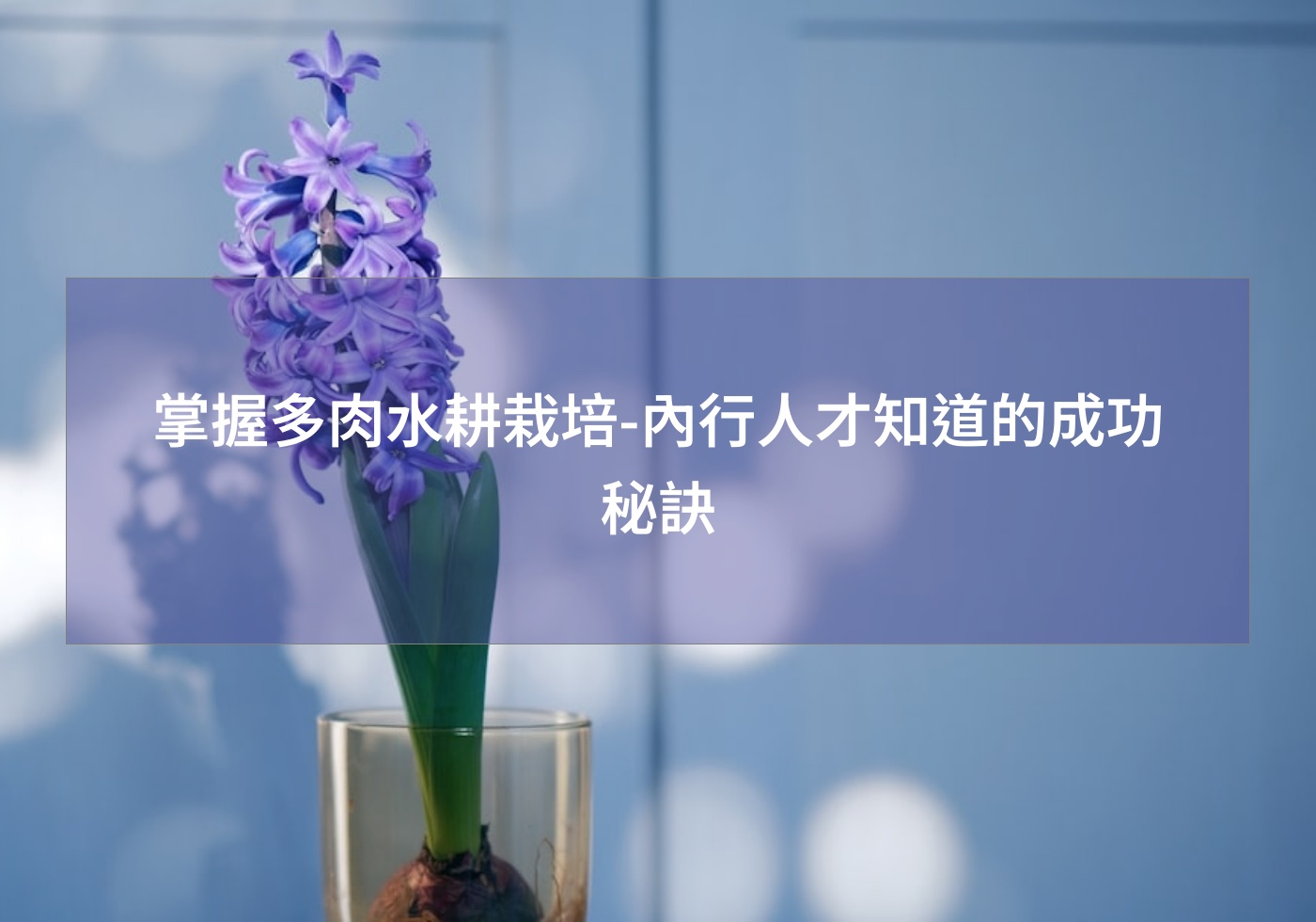 閱讀更多文章 掌握多肉水耕栽培-內行人才知道的成功秘訣