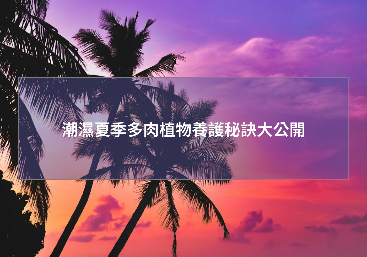 閱讀更多文章 潮濕夏季多肉植物養護秘訣大公開