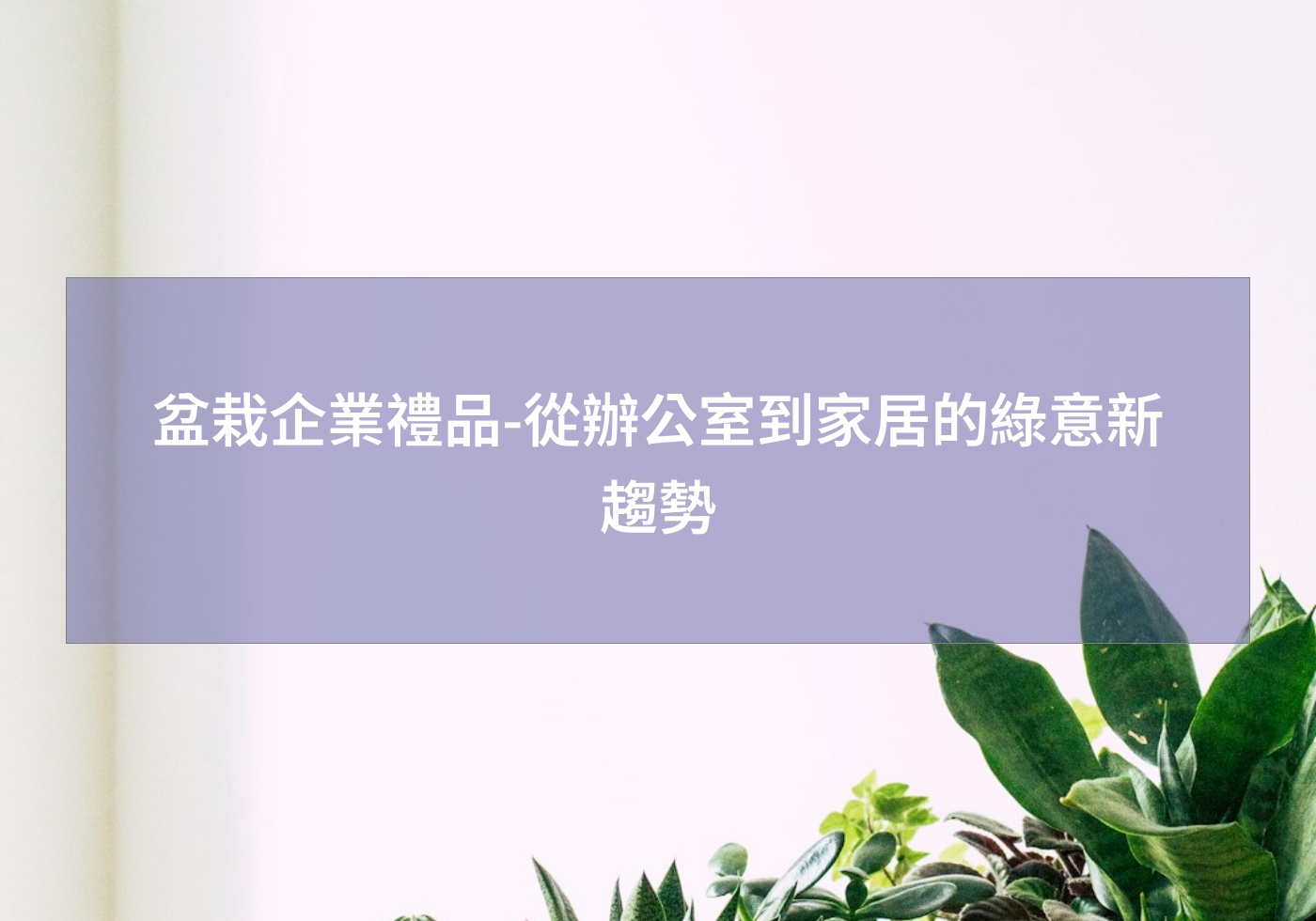 閱讀更多文章 盆栽企業禮品-從辦公室到家居的綠意新趨勢