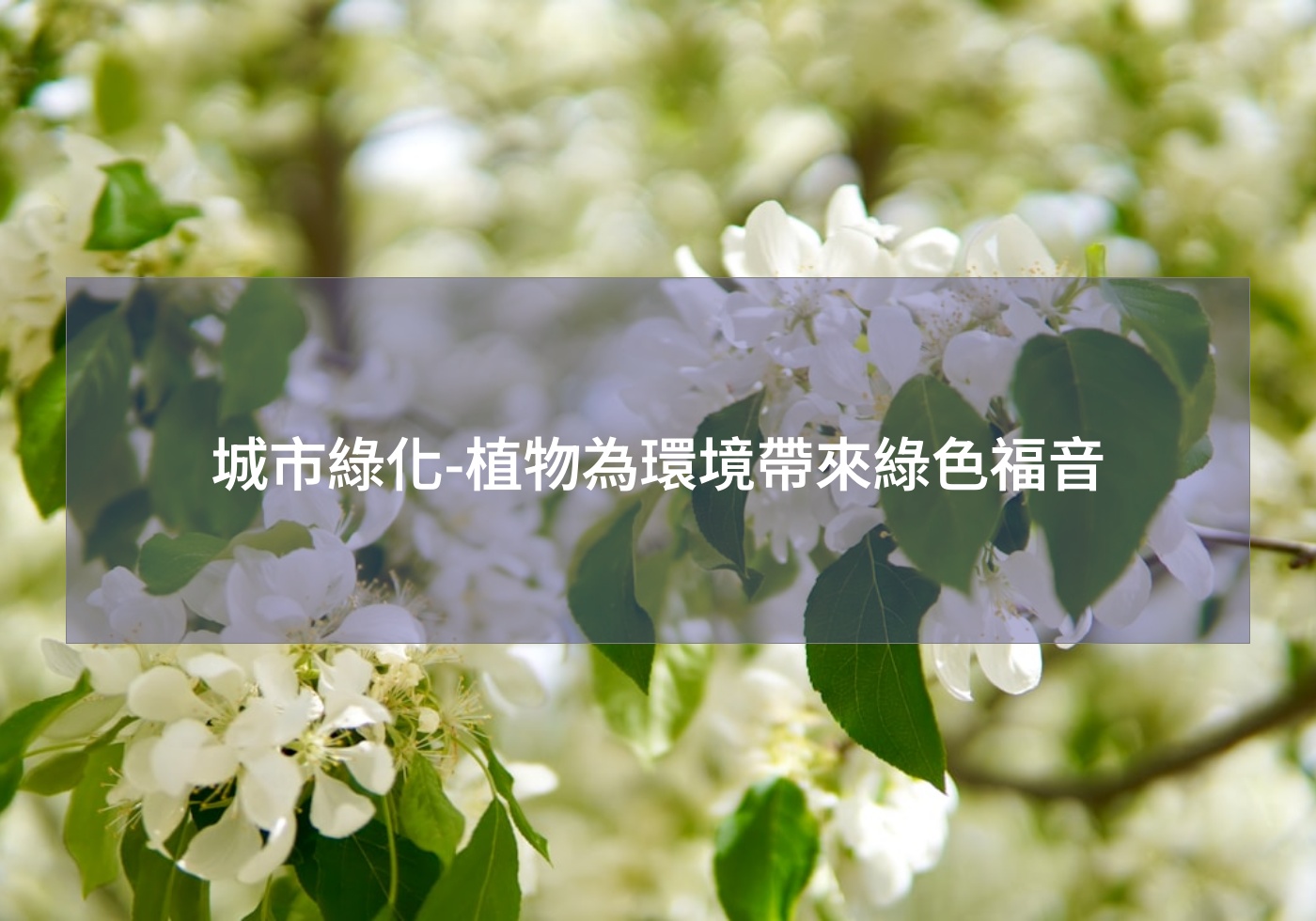 城市綠化-植物為環境帶來綠色福音