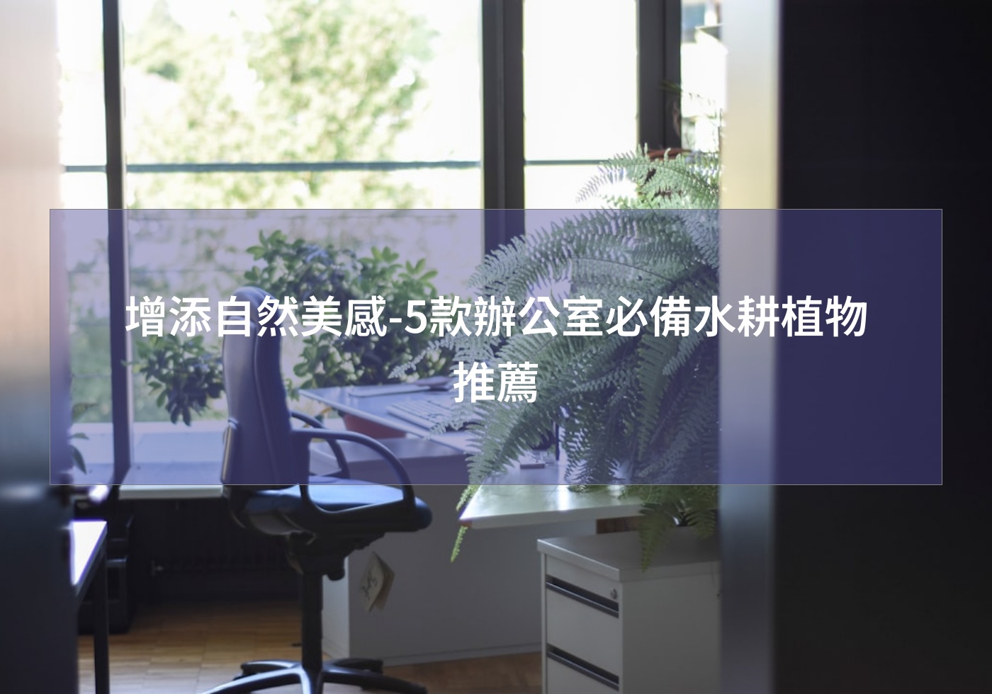 閱讀更多文章 增添自然美感-5款辦公室必備水耕植物推薦