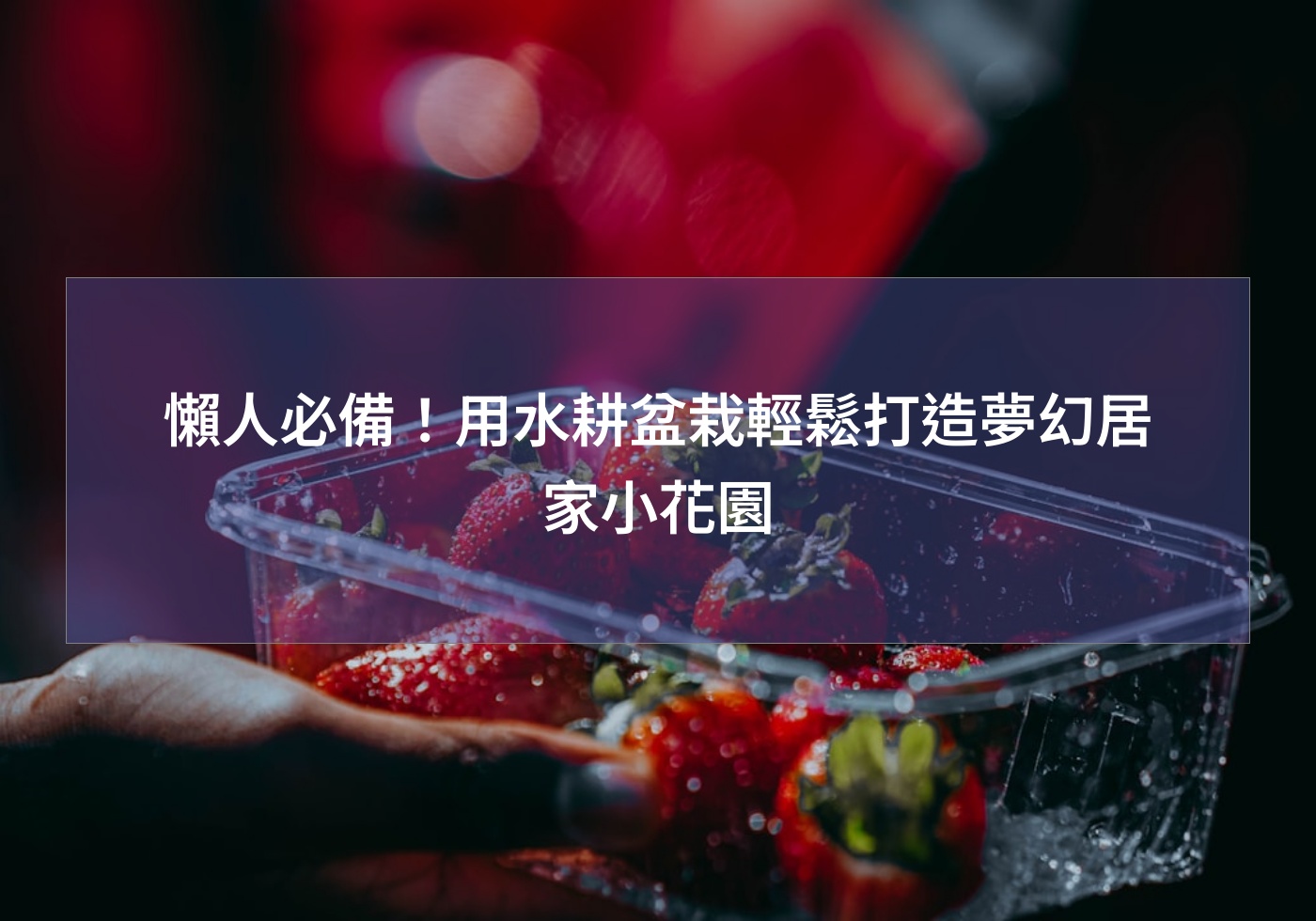 閱讀更多文章 懶人必備！用水耕盆栽輕鬆打造夢幻居家小花園