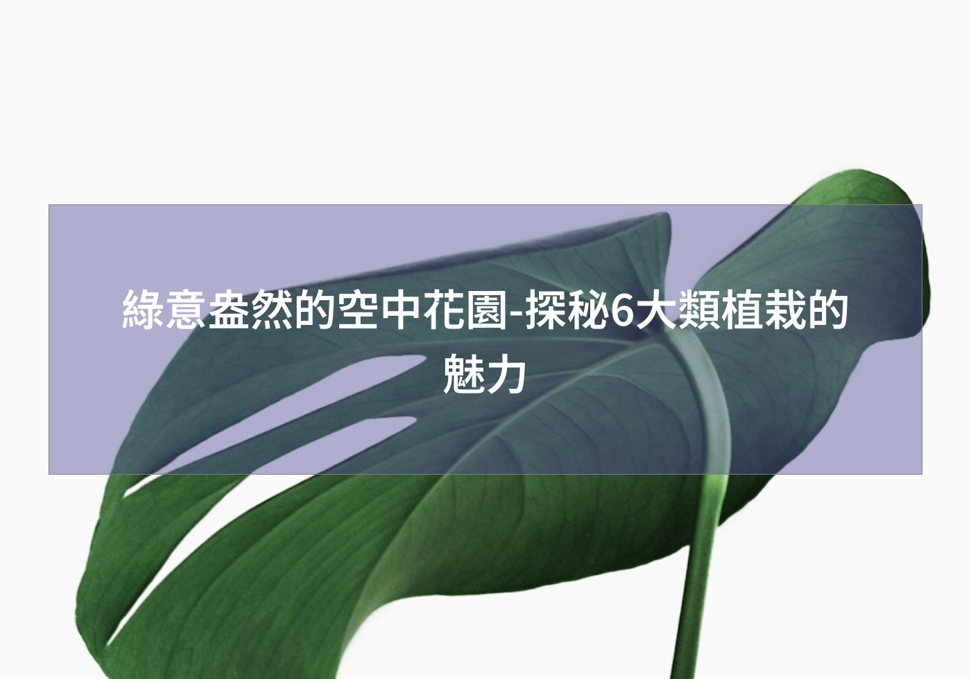 閱讀更多文章 綠意盎然的空中花園-探秘6大類植栽的魅力