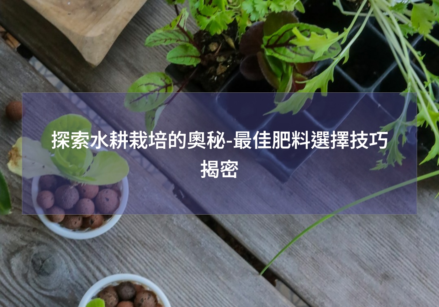 探索水耕栽培的奧秘-最佳肥料選擇技巧揭密