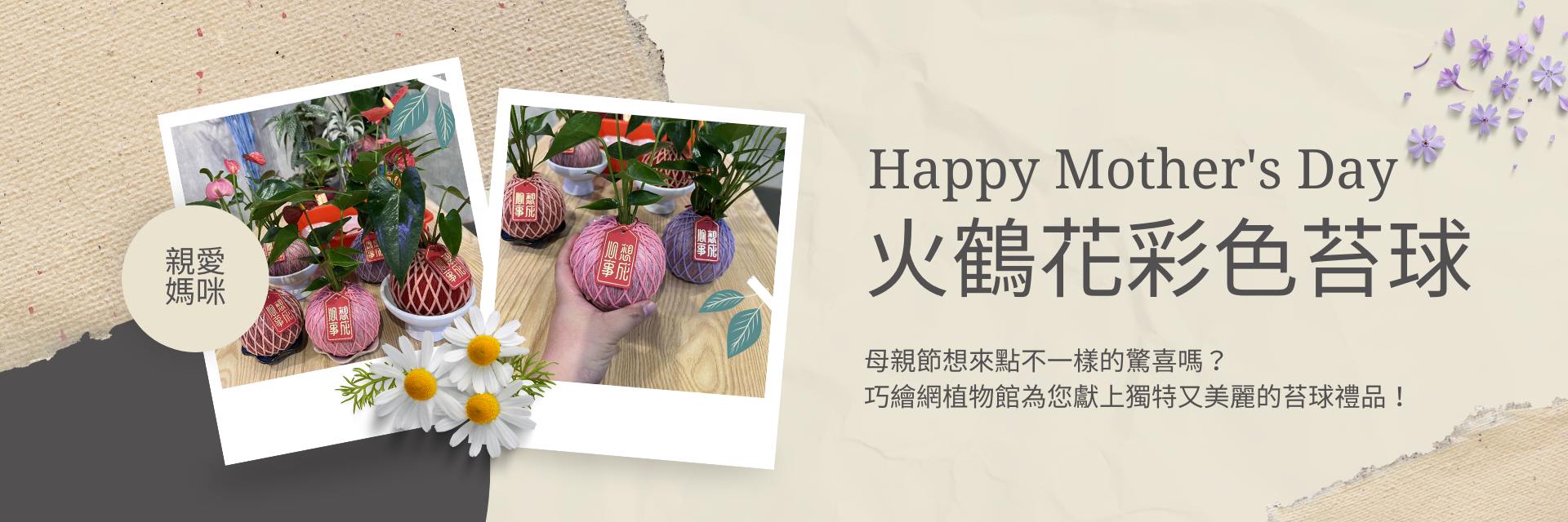 Happy Mother's Day 火鶴花彩色苔球 母親節想來點不一樣的驚喜嗎？ 巧繪網植物館為您獻上獨特又美麗的苔球禮品！