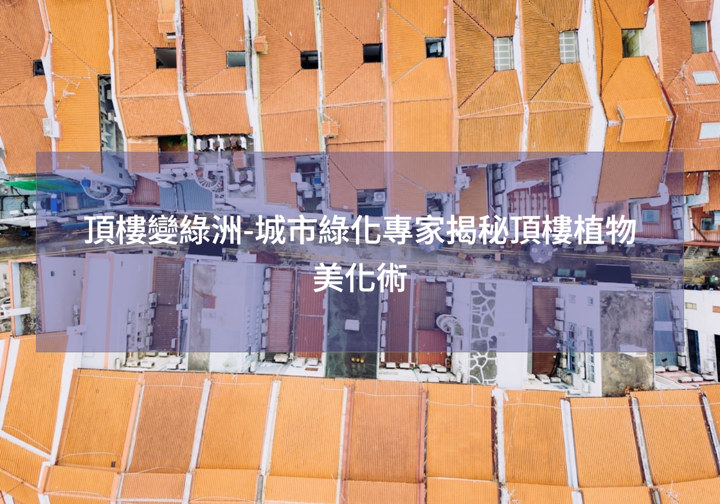 閱讀更多文章 頂樓變綠洲-城市綠化專家揭秘頂樓植物美化術