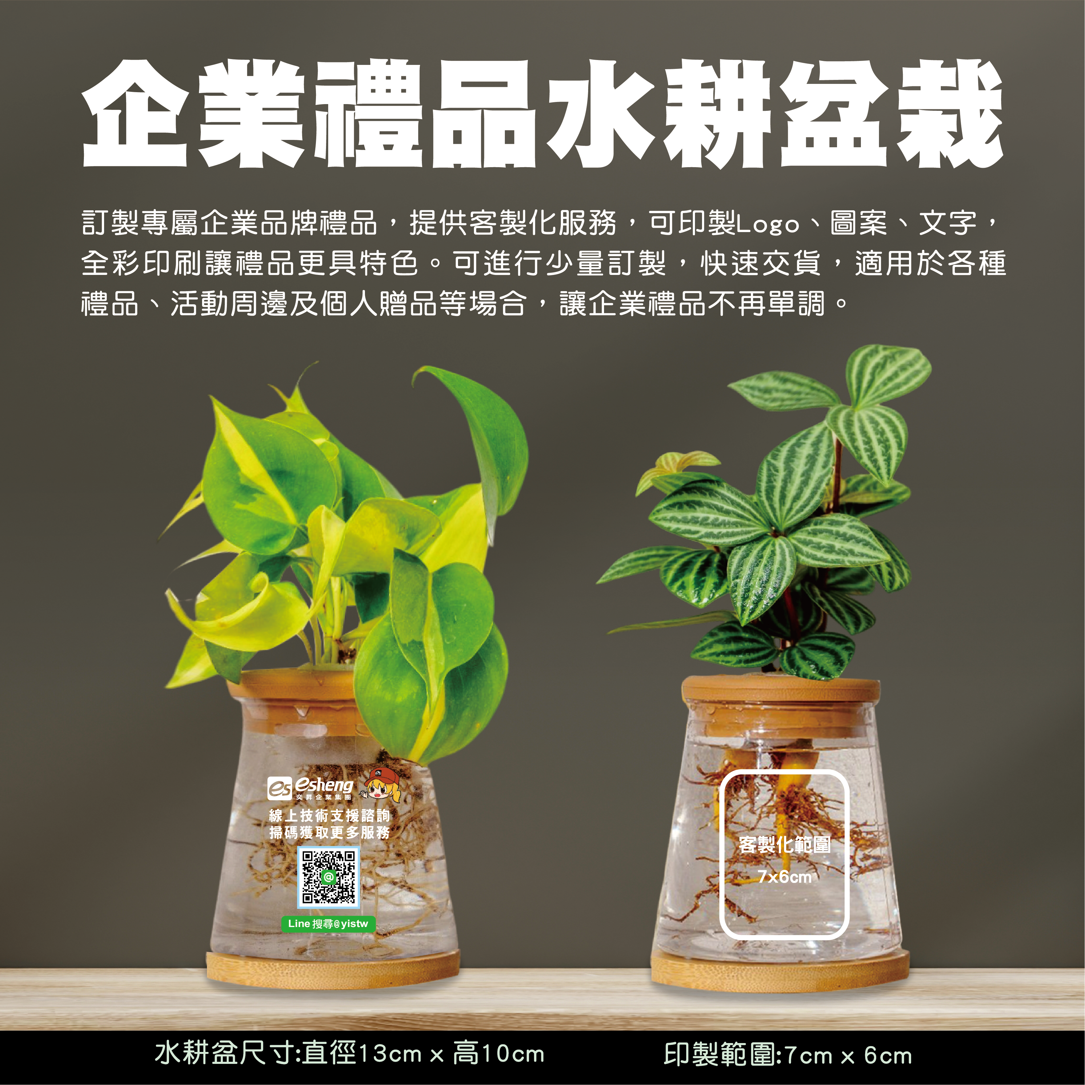 客製化企業禮品 水耕盆栽
