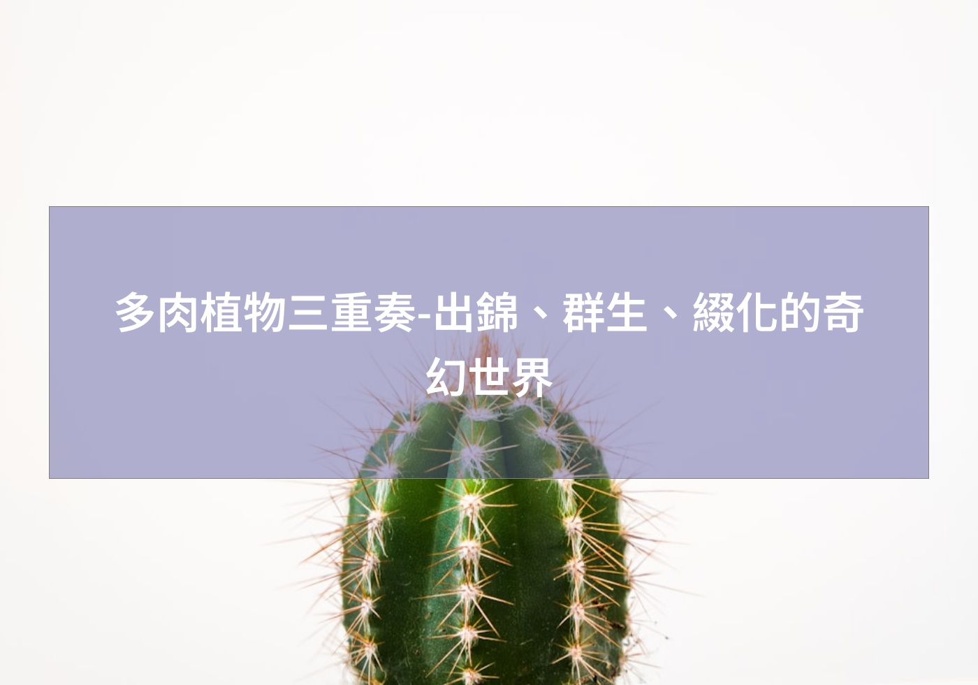 多肉植物三重奏-出錦、群生、綴化的奇幻世界