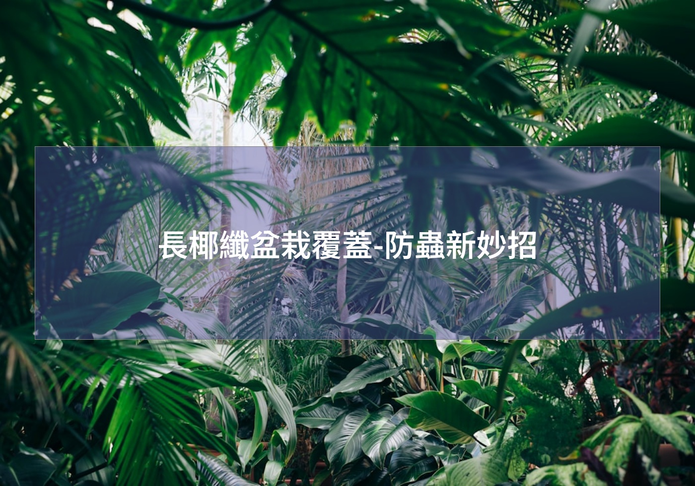 長椰纖盆栽覆蓋-防蟲新妙招