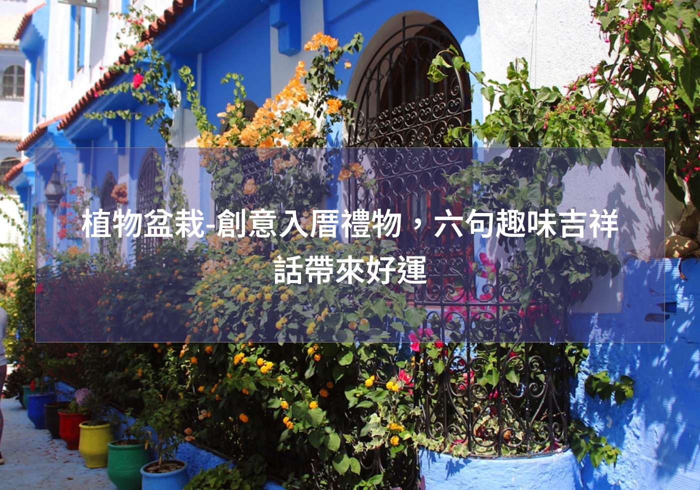 植物盆栽-創意入厝禮物，六句趣味吉祥話帶來好運