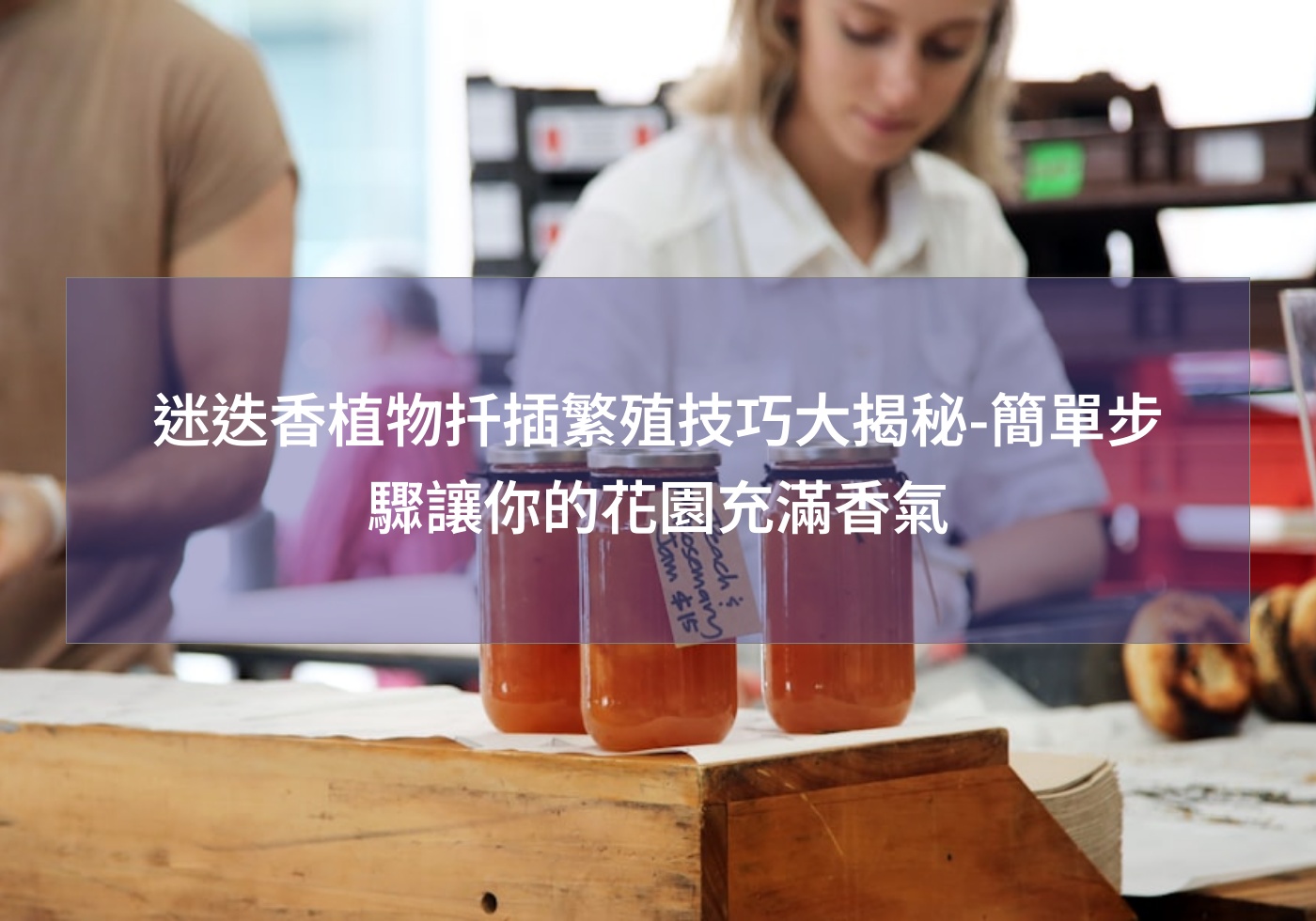 迷迭香植物扦插繁殖技巧大揭秘-簡單步驟讓你的花園充滿香氣