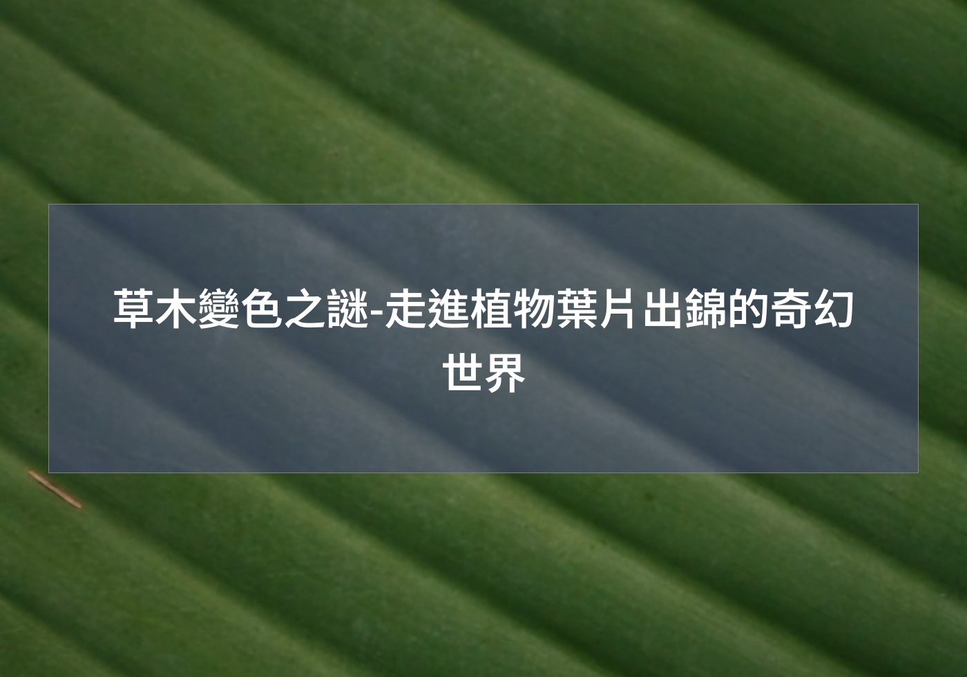 草木變色之謎-走進植物葉片出錦的奇幻世界