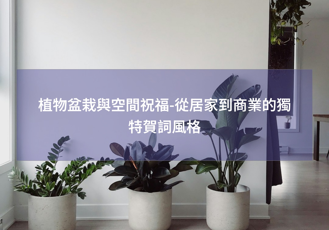 植物盆栽與空間祝福-從居家到商業的獨特賀詞風格