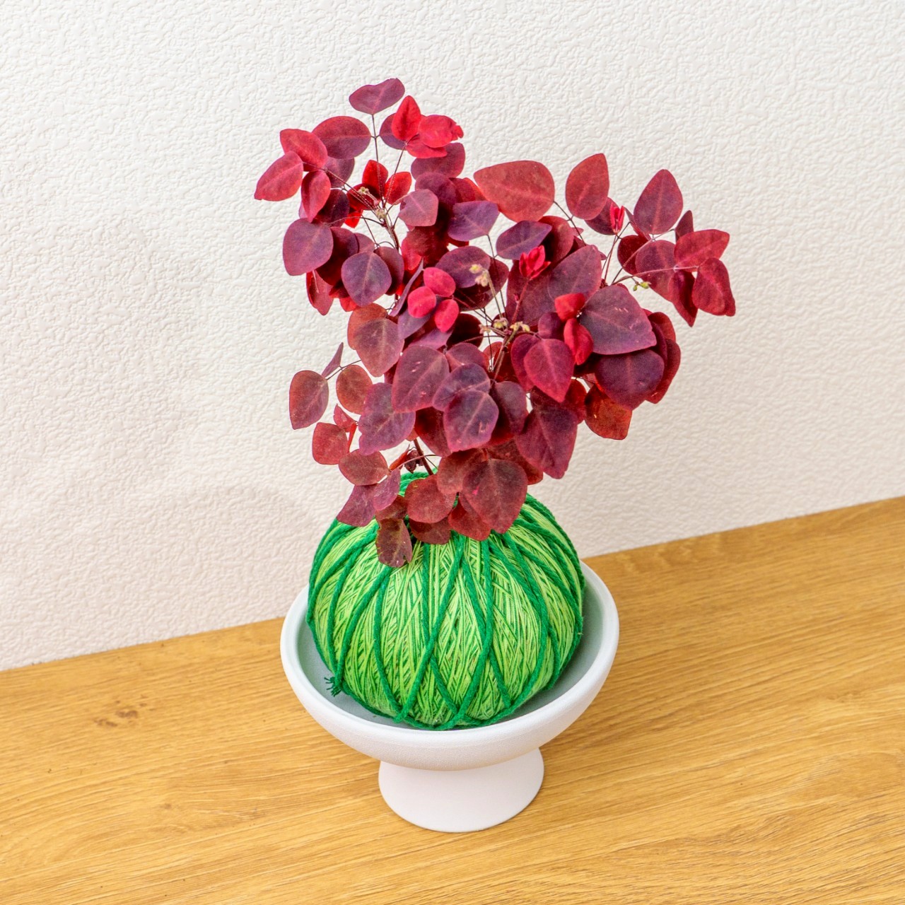 苔球植物 小紅楓酢漿草嫩綠苔球加白色磨砂高腳缽 苔球 苔玉 禮物 送禮 桌上盆栽