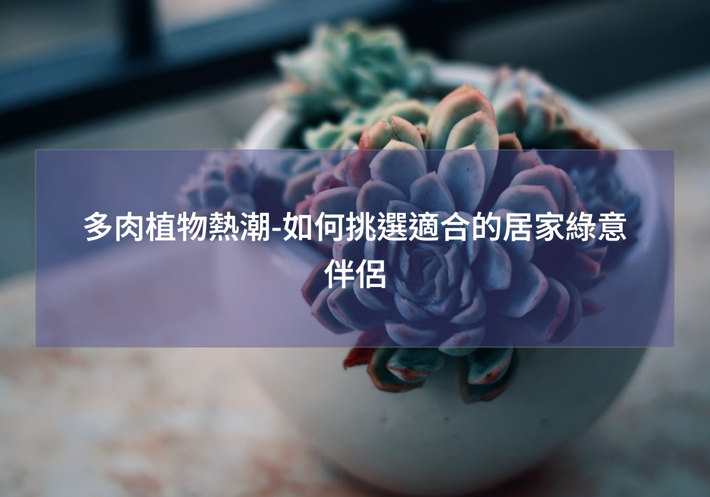 帶您打造綠色生活 | 巧繪網植物館 | 首頁 多肉植物熱潮-如何挑選適合的居家綠意伴侶