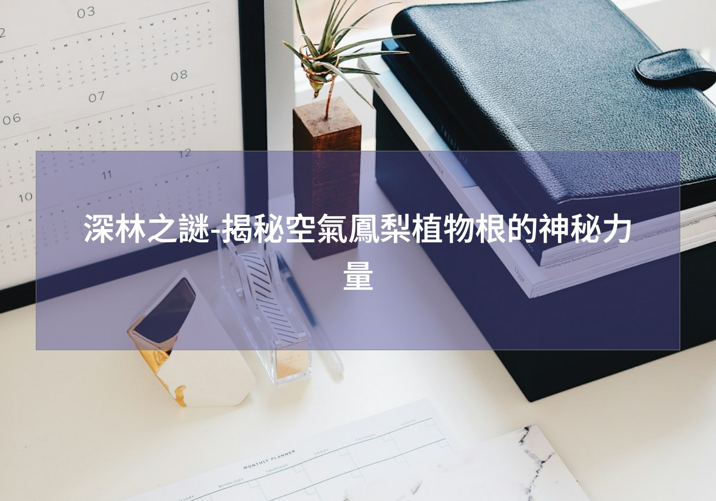 深林之謎-揭秘空氣鳳梨植物根的神秘力量