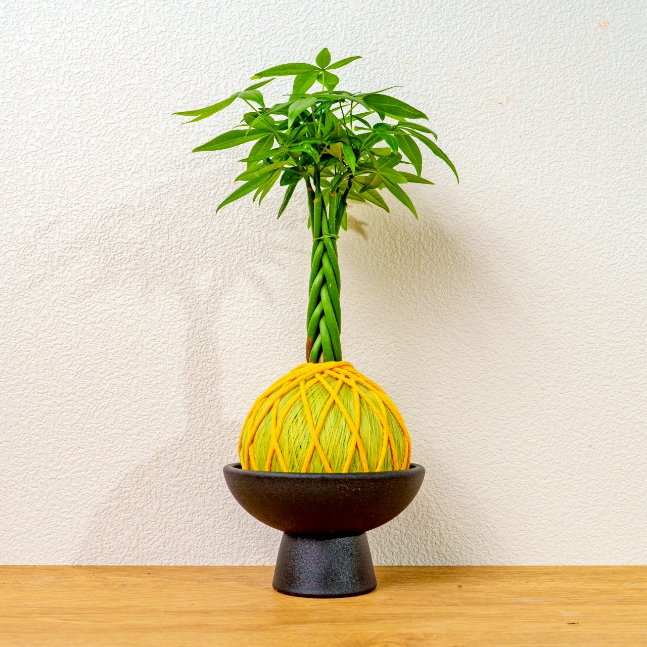 苔球植物 馬拉巴栗黃綠苔球加磨砂高腳缽 苔球 苔玉 禮物 送禮 桌上盆栽