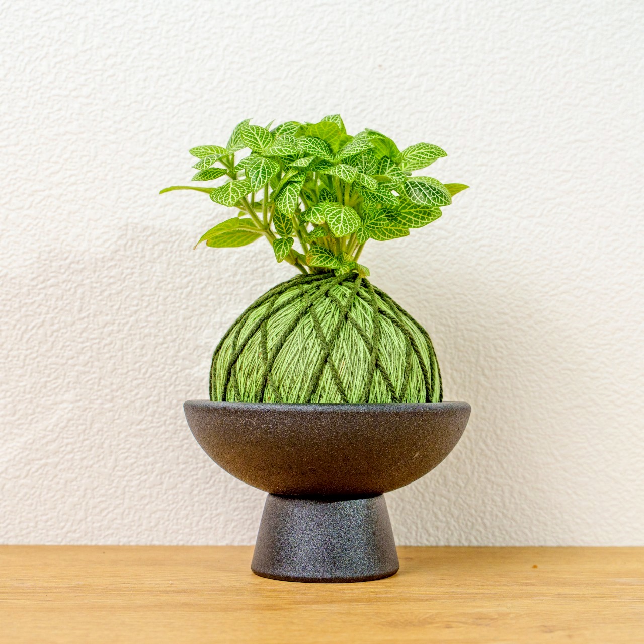 苔球植物 檸檬網紋草草綠苔球加磨砂高腳缽 苔球 苔玉 禮物 送禮 桌上盆栽