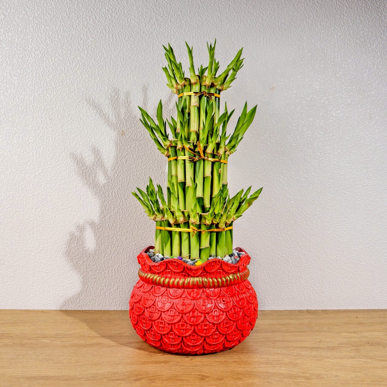 花器 水盤 和竹風 樹脂製 開運竹財源滾滾盆栽開幕花盆觀葉植物居家裝飾送禮| 巧繪網植物館| 植物