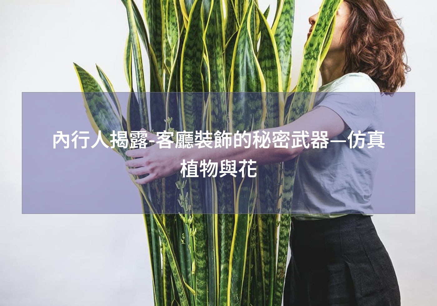 閱讀更多文章 內行人揭露-客廳裝飾的秘密武器—仿真植物與花