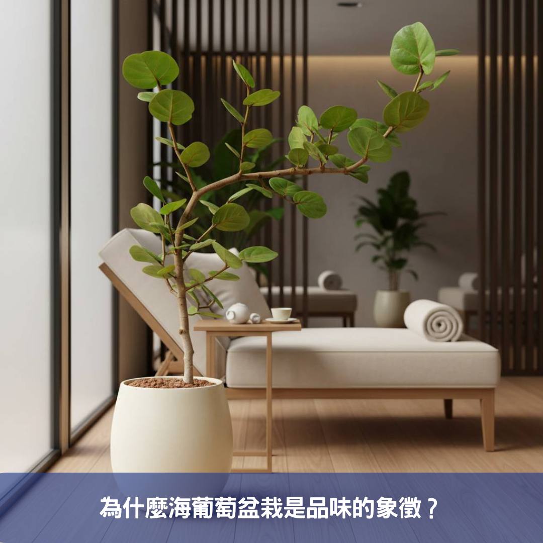 海葡萄盆栽:您的商業空間綠化首選,十個提升質感的擺放提案